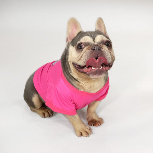 Deluxe Pet T-Shirt, Boss Lady, Medium...