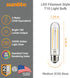 Sunlite LED Vintage T10 2W Light Bulb Medium (E26) Base, Warm White...
