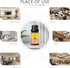 Candy Corn Fragrance Oil, Premium Grade Scented Oil for Aroma Diffusers, Perfume, Candle and Soap Making - 10ml...