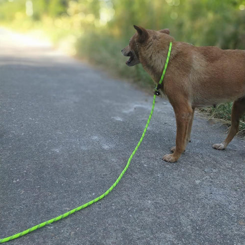 7Ft Slip Lead Dog Leash for Small Dogs, No Pull Small Puppy Pet Training Leash, Lightweight Nylon Rope Leash Green...