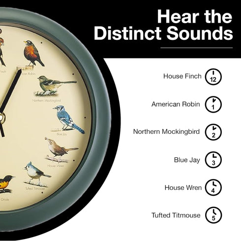 Mark Feldstein, The Original Singing Bird Clock, 8 Inch, Green...