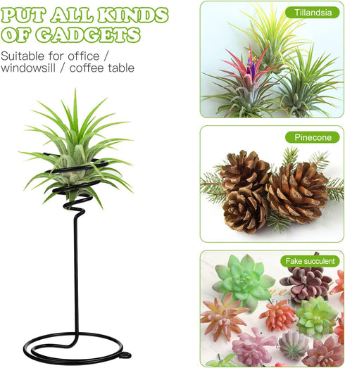 Mipcase 3pcs Flower Stand Air Plants Holders Plant Rack Large Indoor Plant Plant Display Holder House Plants Air Plant Holder Plant Holders Straig...