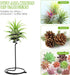 Mipcase 3pcs Flower Stand Air Plants Holders Plant Rack Large Indoor Plant Plant Display Holder House Plants Air Plant Holder Plant Holders Straig...