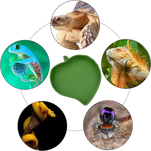 Leaf Shape Reptile Food Water Bowl 2 Pieces Reptile Plate Dish Drinking Bowl for Tortoise Corn Snake Crawl Pet Drinking and Eating, 2 Sizes...