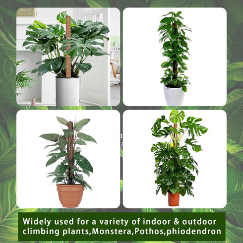Moss Pole -2 Pack 17 Inch Monstera Plant Support for Climbing Plants Accessories Indoor -Stackable Moss Poles Plant Support Stakes -Coir Plant Pol...