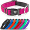 Kruz Original Heavy-Duty Adjustable Dog Collar - Ultra Soft Padding, Lifetime Durability, Comfortable Collar for Large, Medium, and Small Dog Bree...