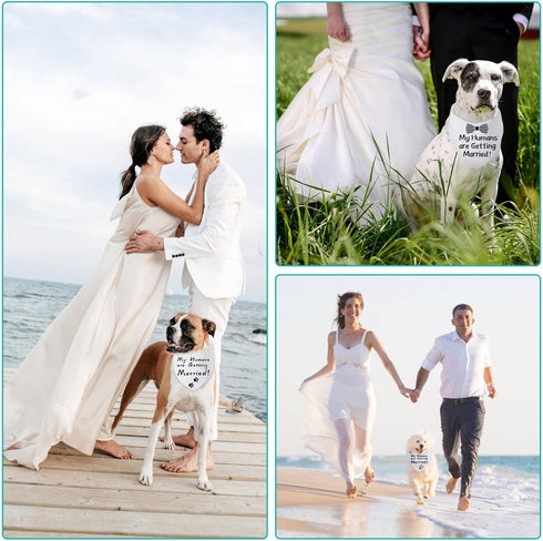 Blank Dog Bandanas Large-1PCS, DIY Solid White Triangle Scarf Premium Cotton Handkerchief or Bib, Personalized design Birthday/Party Fun Idea Gift...