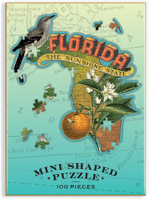 Galison Wendy Gold Florida Shaped Mini Puzzle, 100 Pieces, 8” x 9.75” – Die-Cut Jigsaw Puzzle Featuring Art by Bestselling Artist Wendy Gold – Mak...