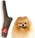 Heartland Deer Antlers for Dogs - Grade A, Naturally Shed Antlers | Dog Bones for Aggressive Chewers & Teething Puppies | Chew Toy for all Breeds ...