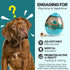 JZXOIVA Dog Treat Ball, Adjustable Dog Treat Dog Ball Dispensing Dog Toys, Interactive Food Puzzles Ball for Dogs, Pet Slow Feeder Ball...