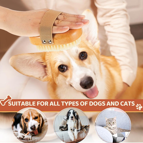 Suclain 2 Pcs Dog Cat Bristle Brush for Shedding Dog Brush for Short Haired Dogs Soft Dog Brush Oval Palm Beech Brush with Boar Bristles and Elast...