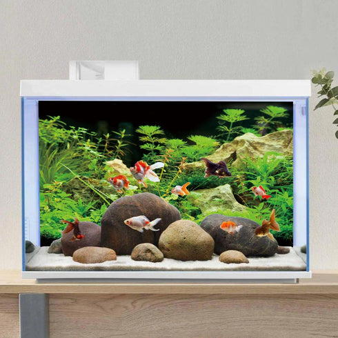 AWERT 36x18 inches Aquarium Background Seaweed Aquarium Background Aquatic Plant Stone River Bed & Lake Fish Tank Background Vinyl Background...