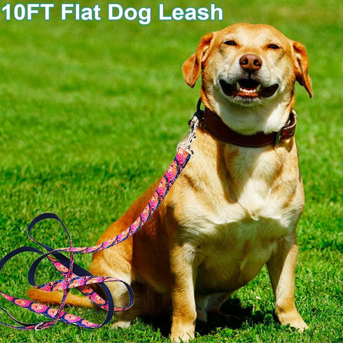 10FT Strong Nylon Dog Leash, Unique and Vibrant Print Pattern Dog Leash for Medium and Large Dogs Daily Outdoor Walking Running...