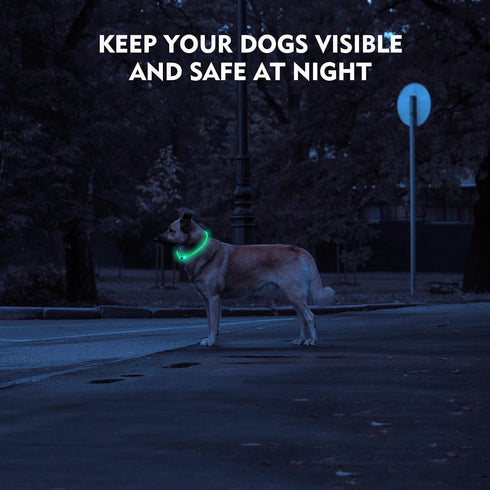 LED Dog Collar, Rechargeable Light Up Dog Collars,IP67 Waterproof Dog Lights for Night Walking?Adjustable, Reusable Safety Necklace for Small Medi...