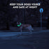 LED Dog Collar, Rechargeable Light Up Dog Collars,IP67 Waterproof Dog Lights for Night Walking?Adjustable, Reusable Safety Necklace for Small Medi...