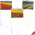 The Best Card Company - 20 Landscape Nature Note Cards Blank (4 x 5.12 Inch) (10 Designs, 2 Each) - Super Blooms AM7175OCB-B2x10...