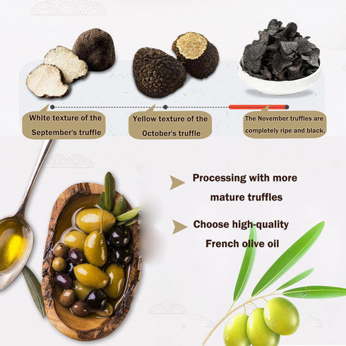VIGOROUS MOUNTAINS Black Truffle Paste - 3.17 oz Vegan Pesto Pasta Sauce Seasoning in Extra Virgin Olive Oil...