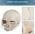 Uniclife Aquarium Skull Reptile House Decor Resin Head Skeleton Ornament for Tank Landscape Decorative Hideout Cave Shelter for Small Fish Shrimp ...