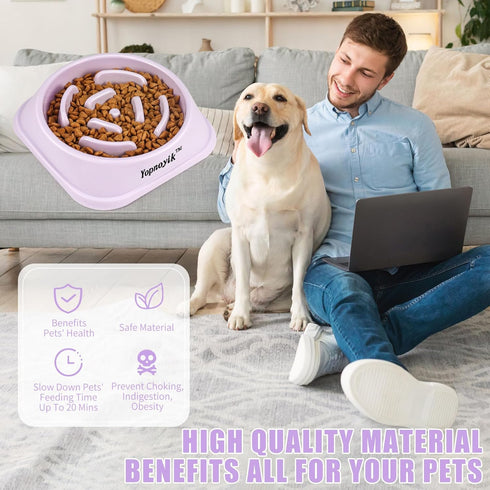 Slow Feeder Dog Bowls, Anti-Slip Maze Puzzle Dog Feeding Bowls, Anti-Chocking and Interactive Dog Food Bowls, Bloat Stop Dog Bowls for Small and M...