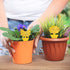 120 Pack Fungus Gnat Traps for House Indoor, Fungus Traps Fruit Fly Traps for Indoors Gnats Sticky Traps for Plants Yellow Sticky Traps for Gnats...