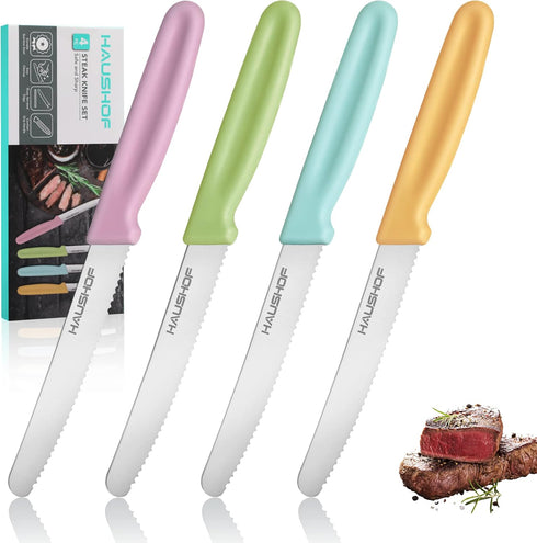 HAUSHOF Steak Knives Set of 4, Serrated Steak Knives, Premium Stainless Steel Steak Knife Set with Gift Box, Assorted Color...