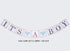 luckylibra Boy baby shower decorations, It is a Boy Banners Elephant Garland and Paper Lantern Paper Flower Pom Poms ?Blue White Grey?...