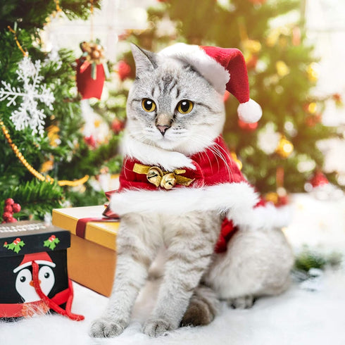 2 Pieces Pet Christmas Clothes Suit, Adjustable Cat Xmas Outfit Accessory, Dog and Cat Clothes for Christmas-Red...