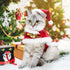 2 Pieces Pet Christmas Clothes Suit, Adjustable Cat Xmas Outfit Accessory, Dog and Cat Clothes for Christmas-Red...