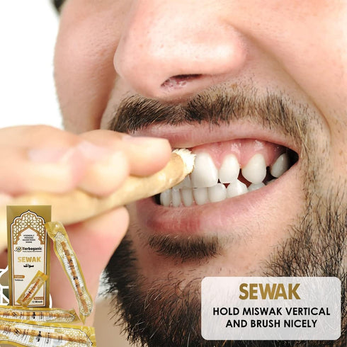 Natural Miswak, All Natural Traditional Tooth Brush for Oral Health, Hygiene, Fresh Breath, Light Weight, Vacuum Sealed (Pack of 6)...