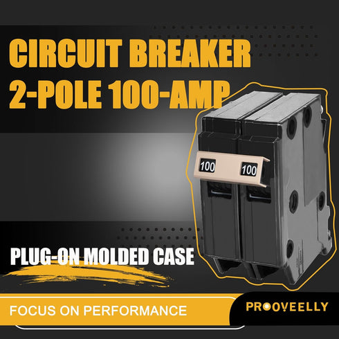 New Upgrade 2100 2-Pole 100-Amp Circuit Breaker, 3/4-Inch Plug-On Molded Case Circuit Breaker, Thermal Magnetic Protection, 100 Amp 10 KAIC, 120/2...