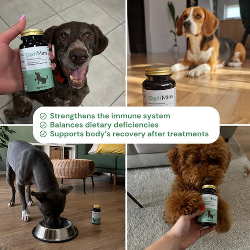 OptiMins Dog Vitamin & Mineral Capsules - Essential Nutrients for Health - Vitality & Immune Support - Multivitamin, Amino Acids, and Minerals for...