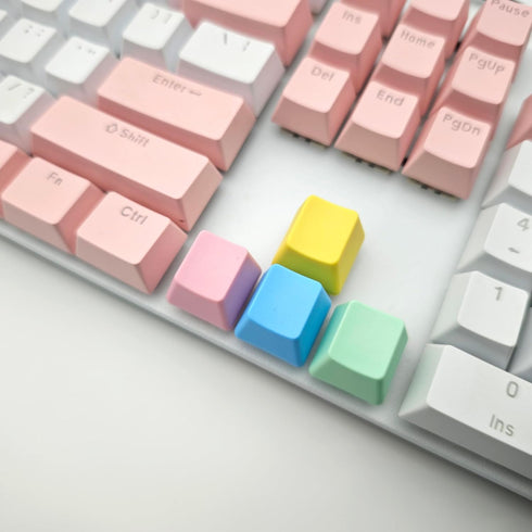 OEM Profile Blank Keycaps PBT Rainbow Mixed Colors 1U R4 Keycap for MX switches Mechanical Keyboard (Mixed colors, 20pcs)...