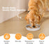 Slow Feeder Dog Bowl Stainless Steel with Non-Slip Silicone Bottom, Dog Water Bowl Suitable for Small Medium Dog Breeds, Cyclone Dog Bowl...