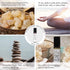 Ellia Frankincense Essential Oil Roll-On | 10ml, 100% Pure, Therapeutic Grade, Clear (ARM-EO10ROFRK)...