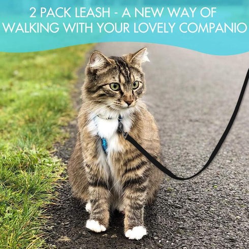 2 Pack Puppy Dog Leash Cat Leash, Strong and Durable Leash with Easy to Use Collar Hook - Dog Leashes for Cat with Collapsible Pet Bowl Great for ...