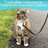 2 Pack Puppy Dog Leash Cat Leash, Strong and Durable Leash with Easy to Use Collar Hook - Dog Leashes for Cat with Collapsible Pet Bowl Great for ...