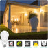Dusk to Dawn Light Bulbs, Sensor E26 LED Bulb 9W (60W Equivalent), 825LM, 2700K Soft White, Auto On/Off light bulbs for Outdoor Lighting, 4-Pack...
