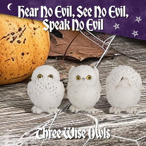 Nemesis Now See No Evil Hear No Evil Speak No Evil Figurines, Adorable Hand-Painted Resin Collectibles and Gift, 8cm - Owls...