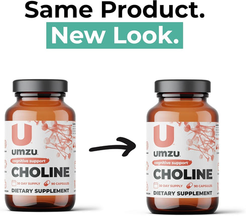 UMZU Choline Supplement for Cognitive and Hormonal Support | Acetylcholine Booster Helps Brain Focus, Memory & Metabolism | Promotes Liver Health ...