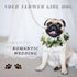 Dog Wedding Flower Collar,dog flower collar,rose flower crown,flower crown,dog wedding collar,flower dog collar,for Weddings Flower Ring Pets Cats...