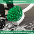 Dish Brush with Handle, 2 Pack Dish Cleaning Brushes with Built-in Scraper, Kitchen Scrub Brush for Cleaning Dishes, Pots, Pans and Sink, Dish Was...