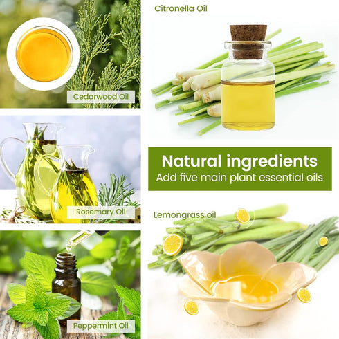 Citronella Incense Cones with 2 Ceramic Dishes | Made with Plant-Based Ingredients | Citronella Oil | Lemongrass Oil | Rosemary Oil | Suitable for...