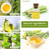 Citronella Incense Cones with 2 Ceramic Dishes | Made with Plant-Based Ingredients | Citronella Oil | Lemongrass Oil | Rosemary Oil | Suitable for...