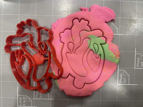Heart Anatomy Cookie Cutter...