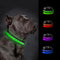 LED Dog Collar - Rechargeable USB Light Up Dog Collar - Waterproof, Multi-Mode Flashing Dog Collar (Large, Green)...