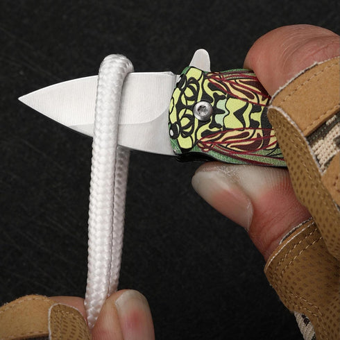 Small Pocket Knife, EDC Knife with Stainless Steel Small Folding Knife...
