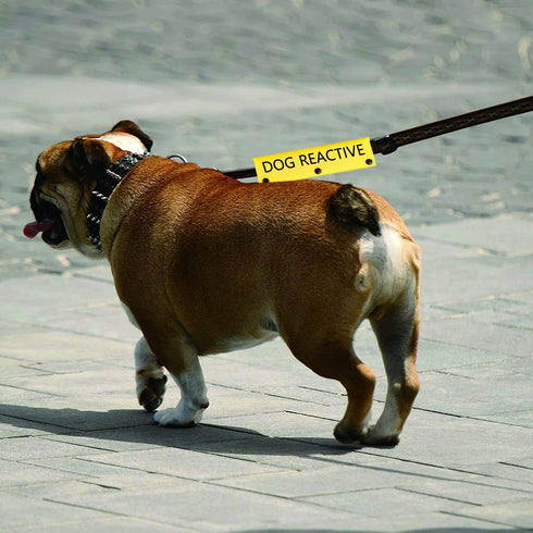 Funny Dog Leash Sleeve Dog Reactive Dog Leash Wrap Wrap Alert Hanging ID Patch Tag Pet Birthday Gift (Dog Reactive-YE Sleeve)...