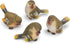 RAZ Imports Striped Wing Bird 2.5 x 2.25 inch Resin Decorative Tabletop Figurine Set of 4, Sage Green...