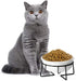 Ceramic Raised Cat Dishes or Small Dog Bowl with Metal Stand 12 Ounces, Pet Food or Water Bowls, White...