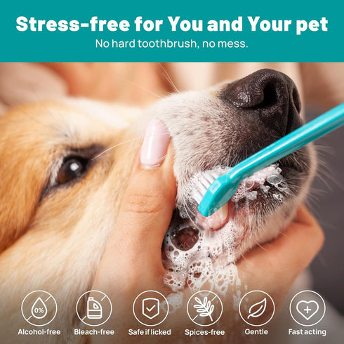 Dog Dental Care Wipes - Cat & Dog Teeth Cleaning Finger Wipes - Dog Tooth Brushing Kit Dental Wipes - Reduces Plaque & Freshens Breath (50 Pcs)...